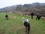 Adventspaziergang 14.12.2014