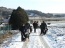 Adventspaziergang