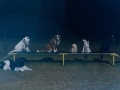 IMG-20200225-WA0003