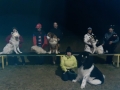 IMG-20200225-WA0005