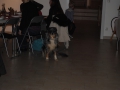 Huschu Weihnachtsfeier 2014 (30)