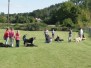 Welpen- und Junghundestunde am 24. August 2008