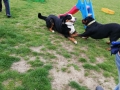 IMG-20190414-WA0001